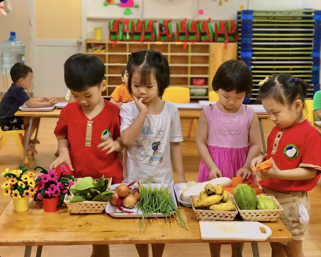 Hoạt động nhận biết các loại trái cây