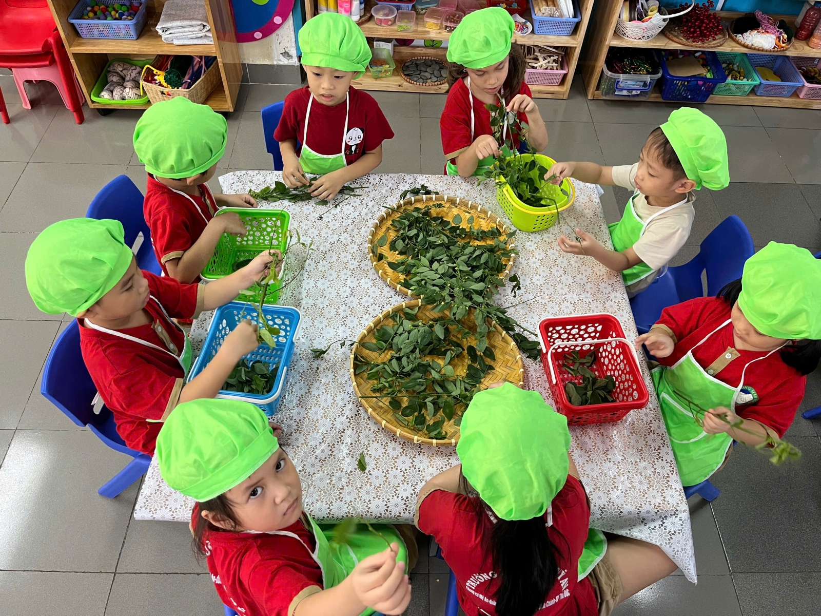 HOẠT ĐỘNG TRẢI NGHIỆM NHẶT RAU
